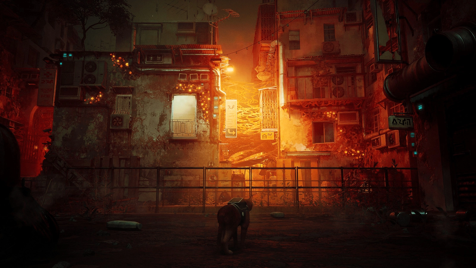 Игра Stray, русские субтитры (PS4)