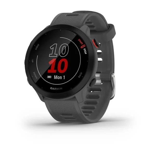 Смарт-часы Garmin Forerunner 55 - 42 mm, Серый