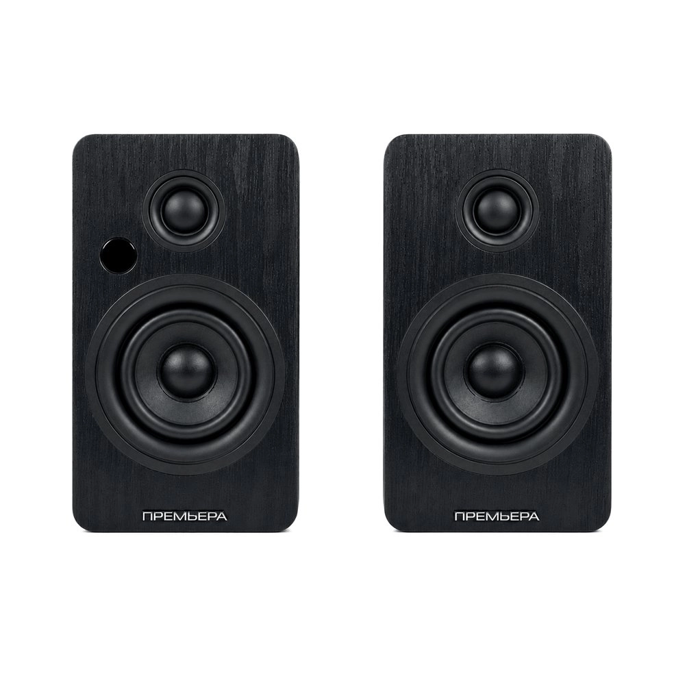 Активная акустическая система PREMIERA RS-301A, черный (BK)