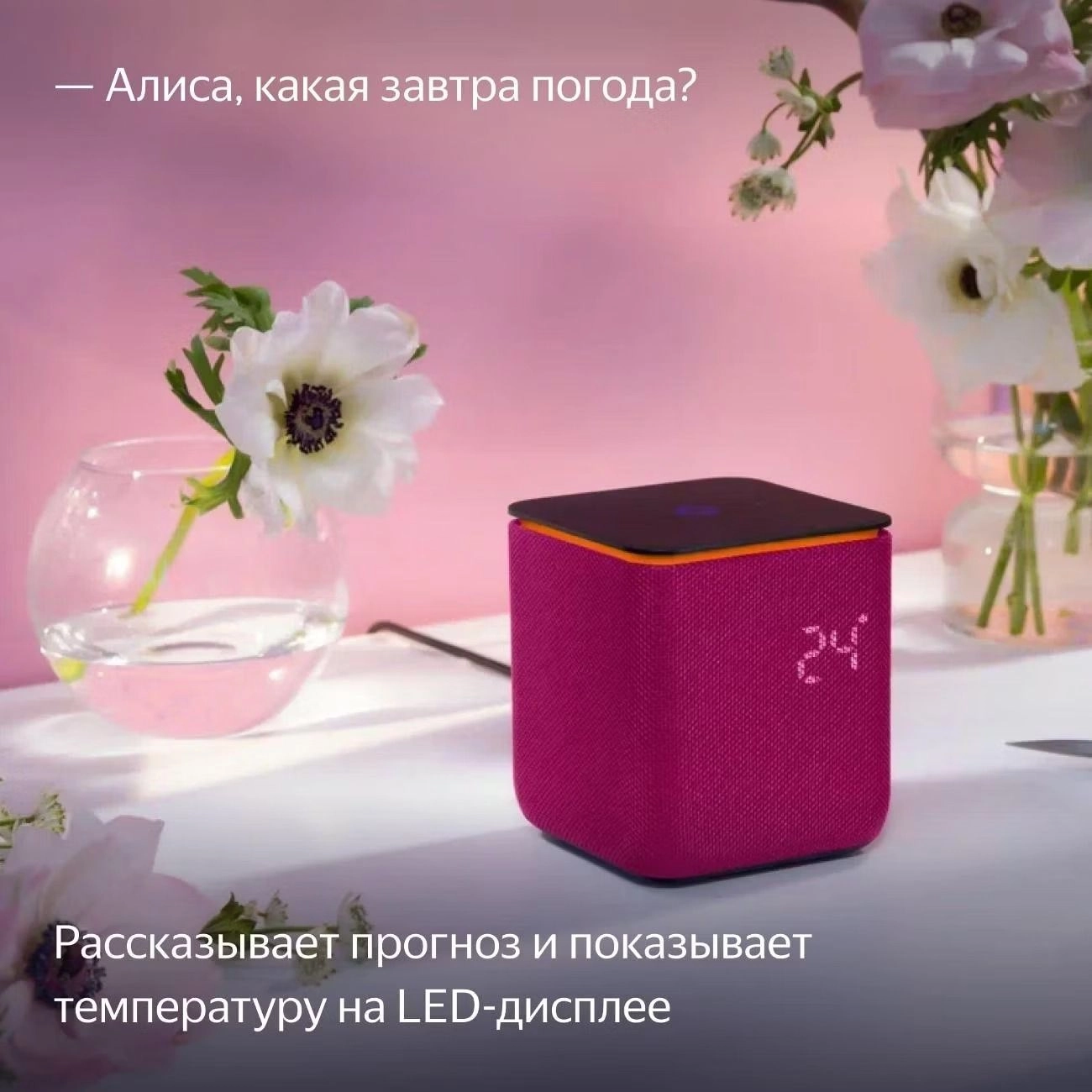 Умная колонка Яндекс Станция Миди Малиновый