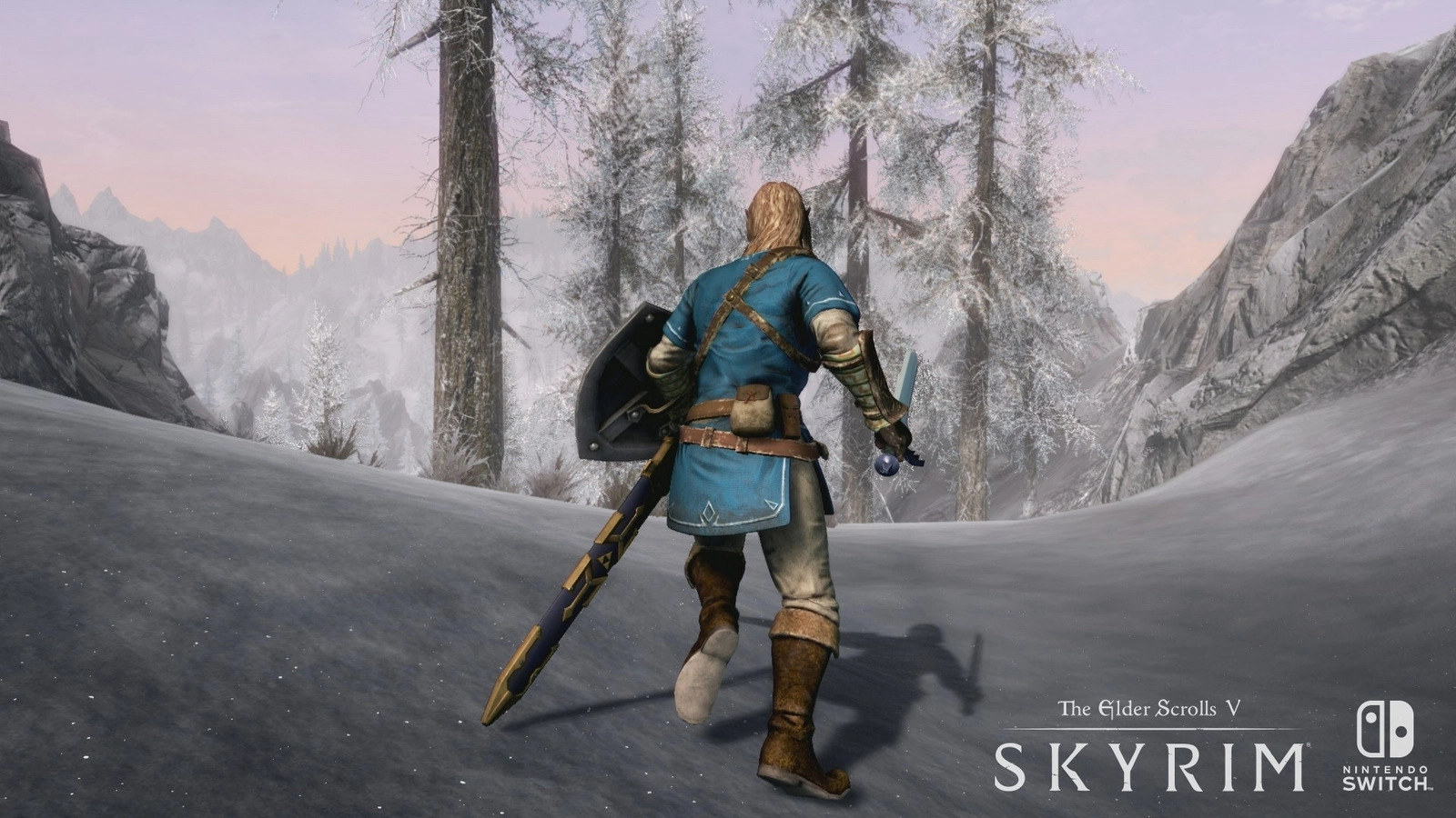 Игра The Elder Scrolls V: Skyrim (NS)
