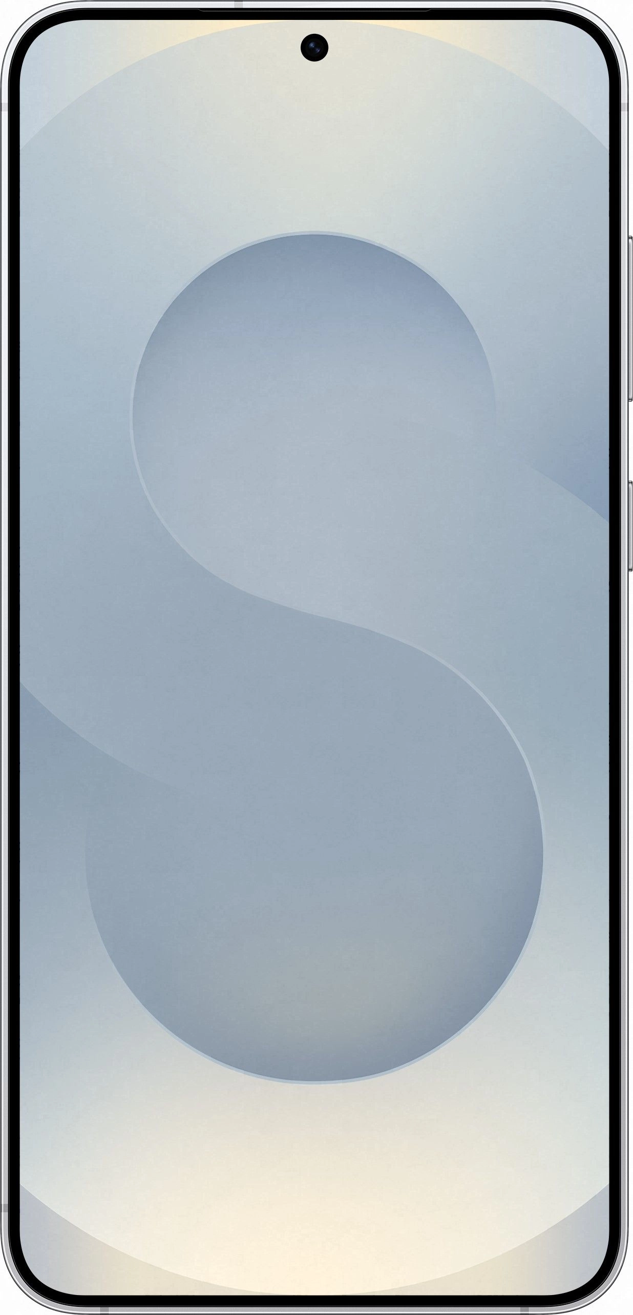 Смартфон Samsung Galaxy S25 Plus | 12-512 ГБ, Серый