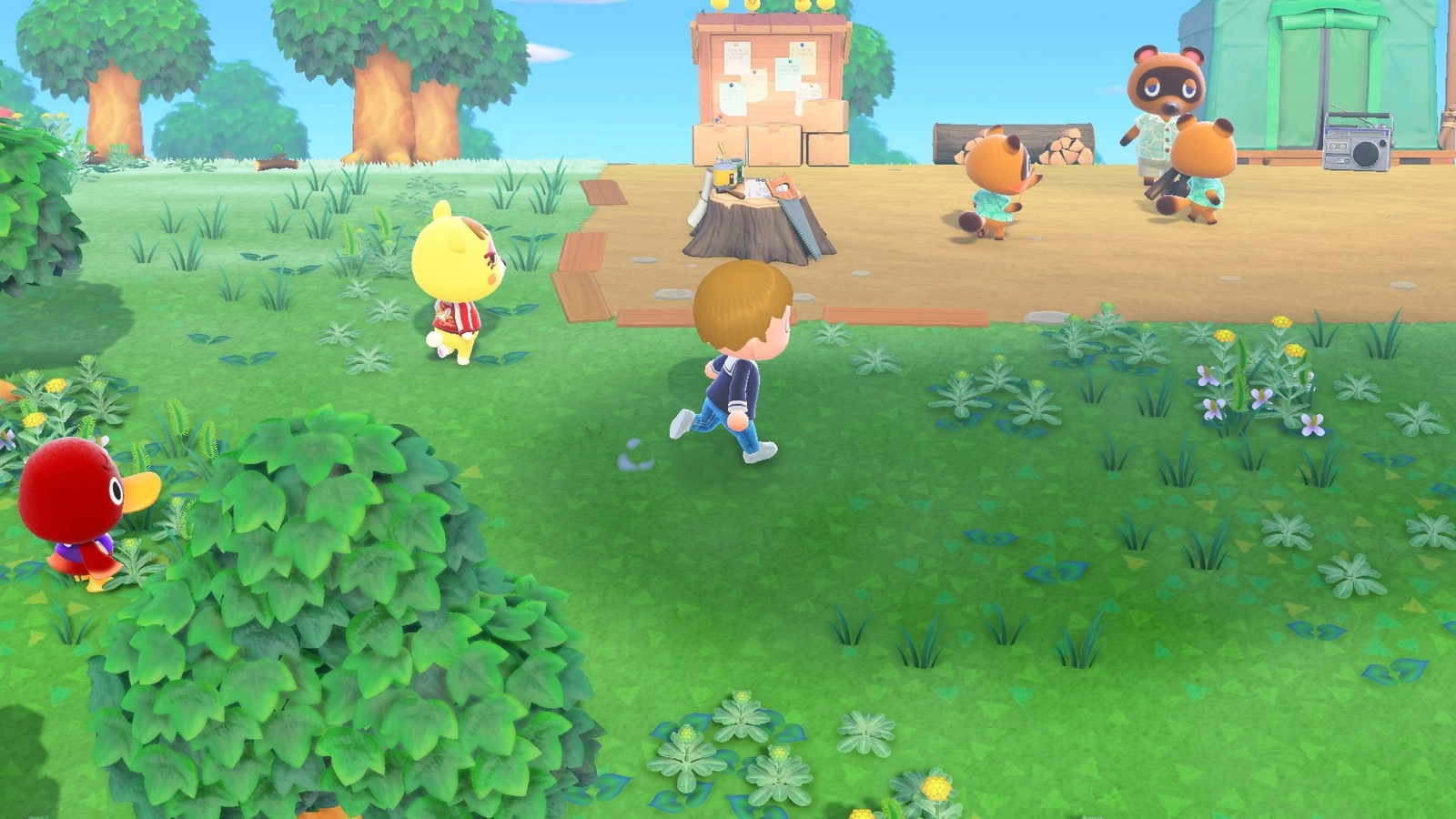 Игра Animal Crossing: New Horizons (NS2)