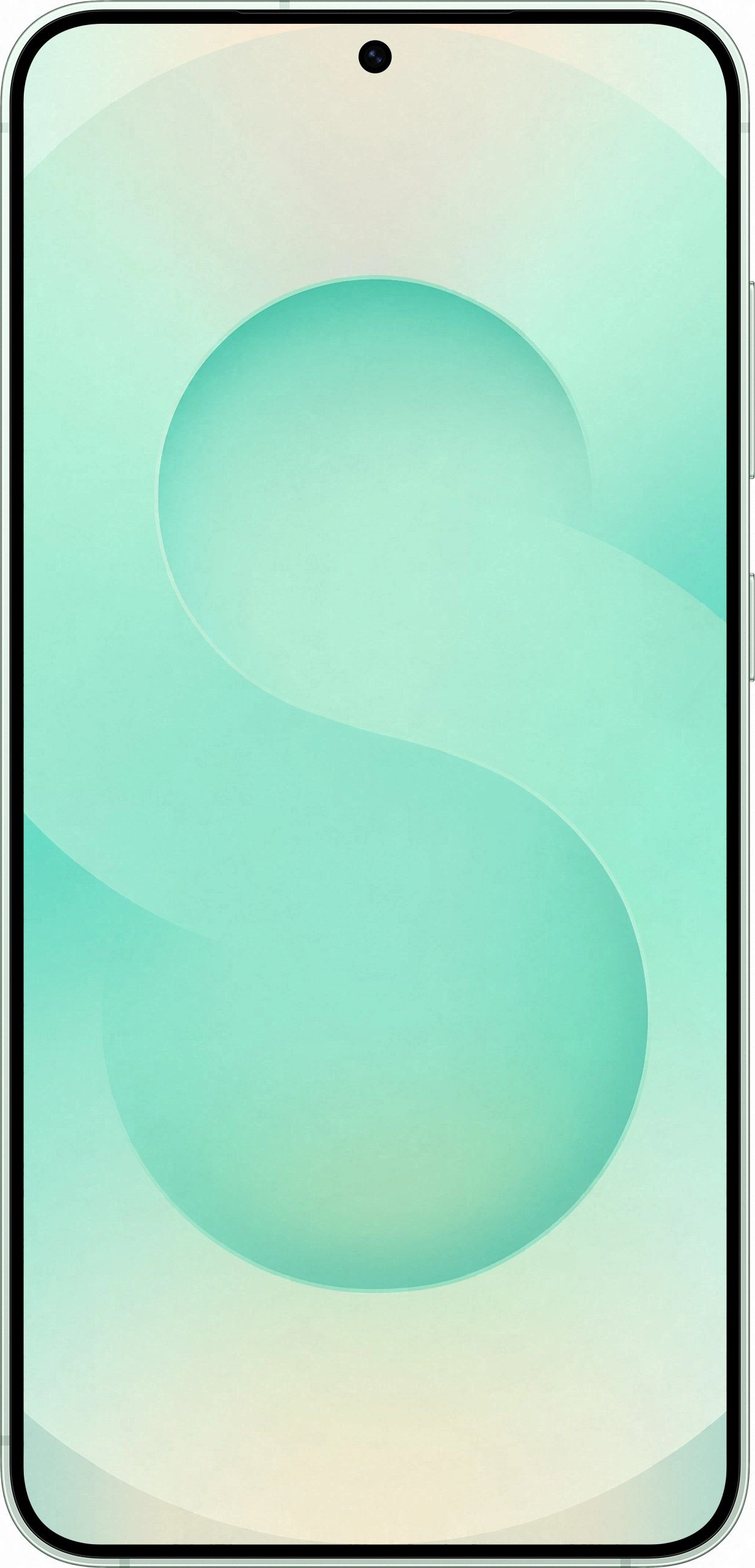 Смартфон Samsung Galaxy S25 Plus | 12-256 ГБ, Мятный