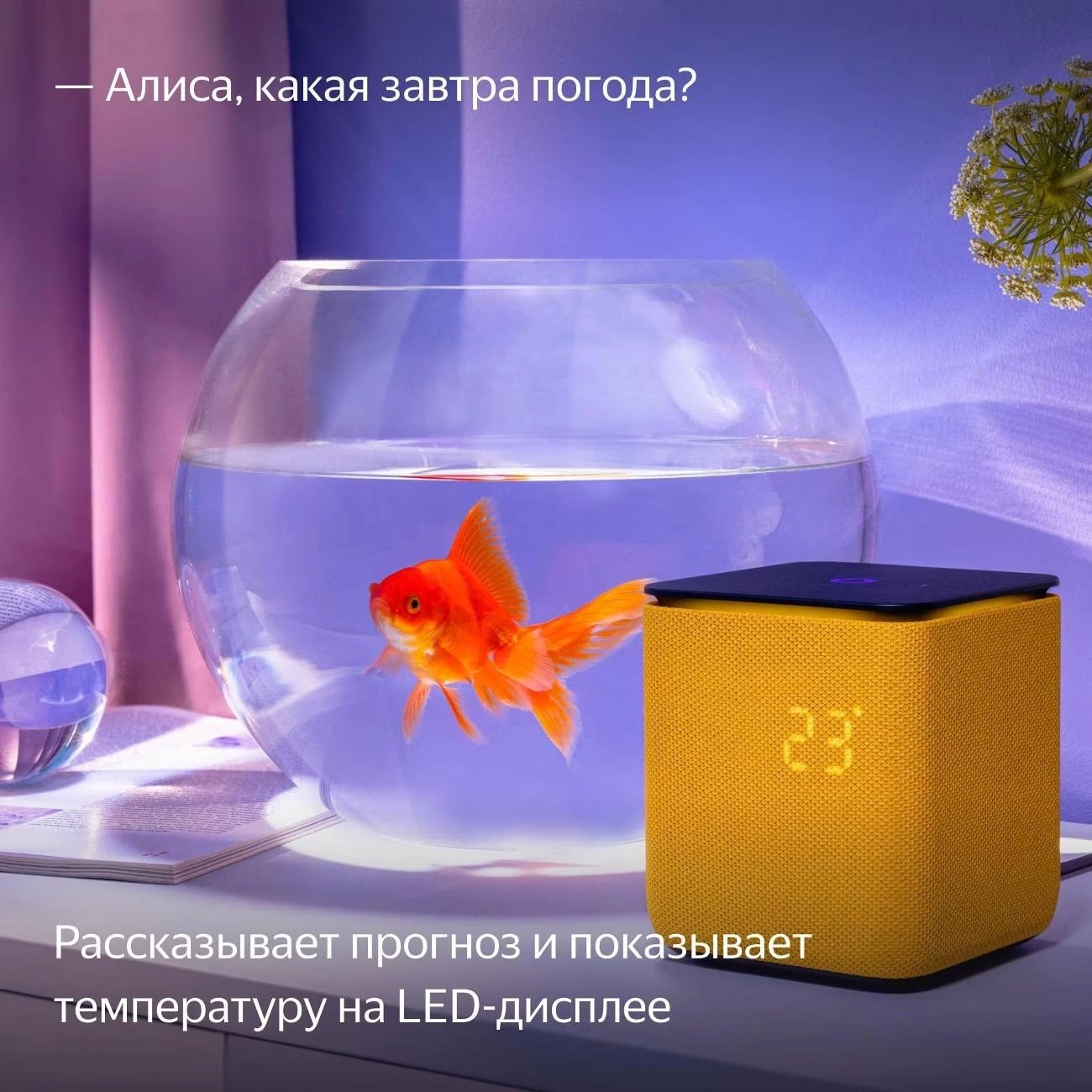 Умная колонка Яндекс Станция Миди Оранжевый