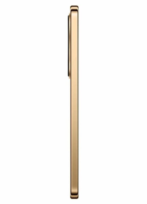 Смартфон Honor X9d 12/256 ГБ Коричневый (Global Version)