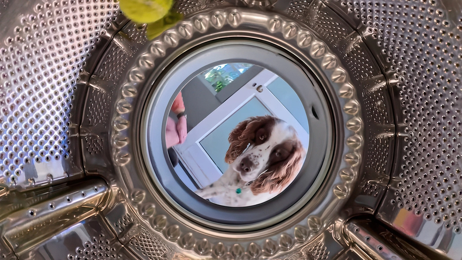 camera Insta360 Go Ultra.jpg