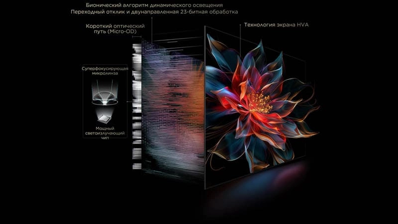 TCL75C8K_2.jpg TCL75C8K_2.jpg