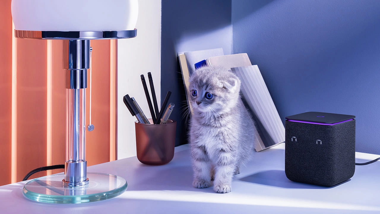 Яндекс Станция Миди.jpg