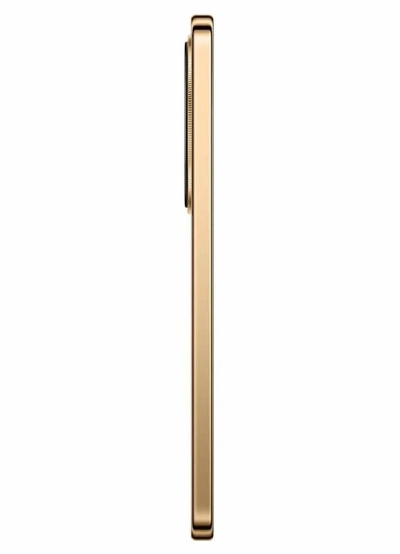 Смартфон Honor X9d 8/256 ГБ Коричневый (Global Version)
