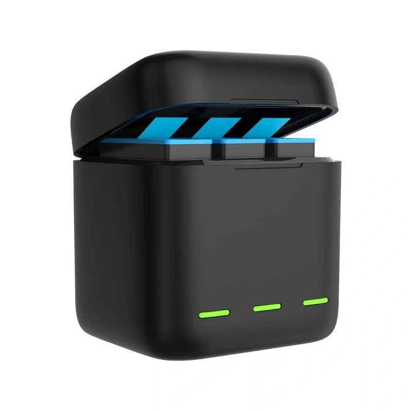 Зарядное устройство Telesin для HERO 9 Black (GP-BCG-901) Black