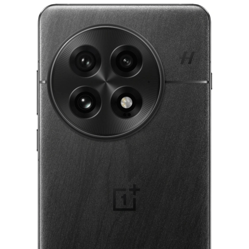 Смартфон OnePlus 13 12/256 ГБ (Черный | Black Eclipse)