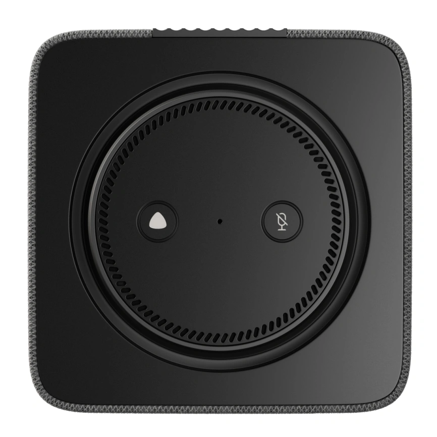 Умная колонка Яндекс Станция Макс с Zigbee, Графит (YNDX-00053K)