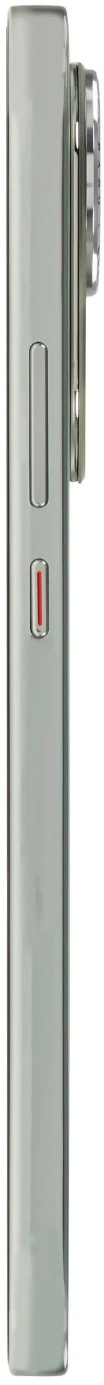 Смартфон Huawei Nova 13 12/256 ГБ (Loden Green|Зеленый)