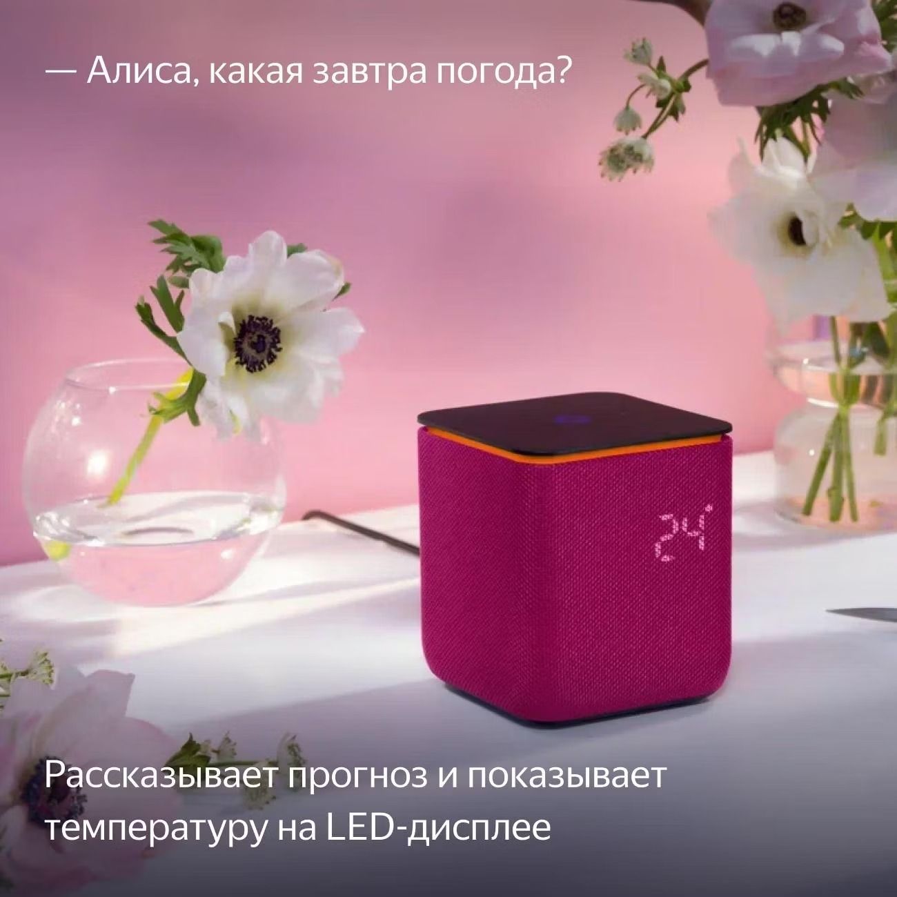 Умная колонка Яндекс Станция Миди Малиновый