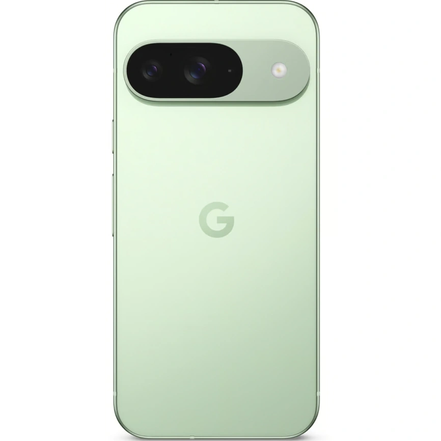 Смартфон Google Pixel 9 | 12/256 ГБ | Wintergreen (Светло-зеленый) (Global Version)