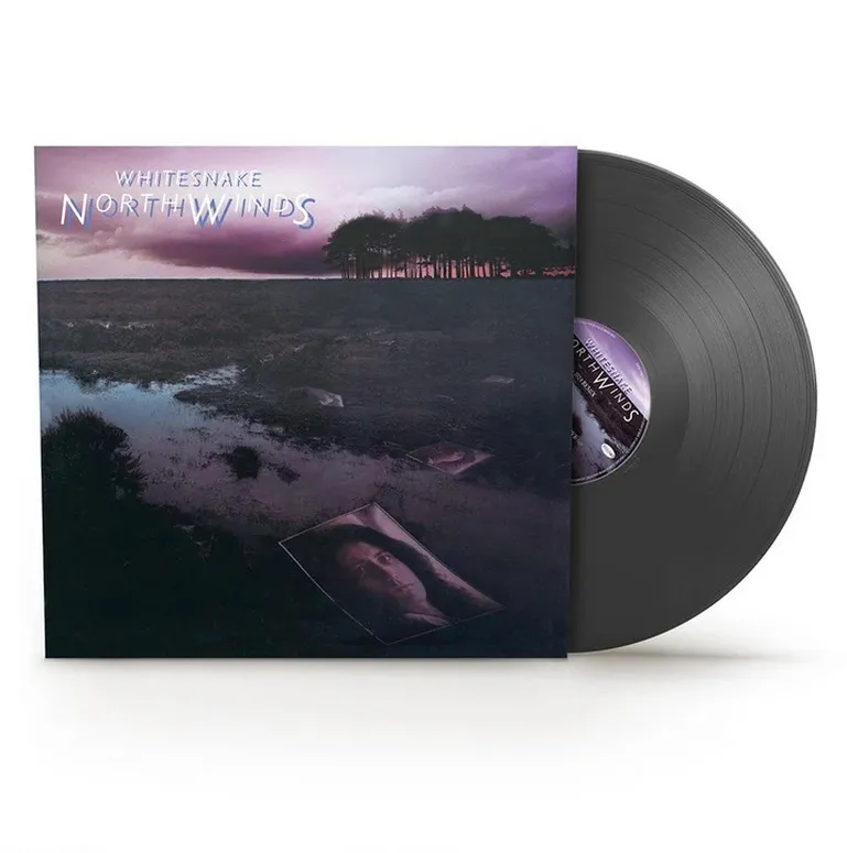 Виниловая пластинка WHITESNAKE - Northwinds (Black Ice)