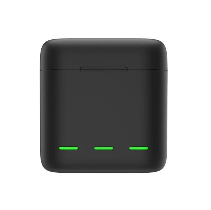 Зарядное устройство Telesin для HERO 9 Black (GP-BCG-901) Black