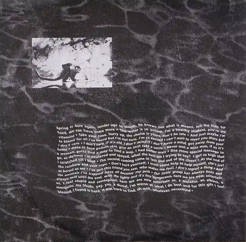 Виниловая пластинка NIRVANA - Nevermind