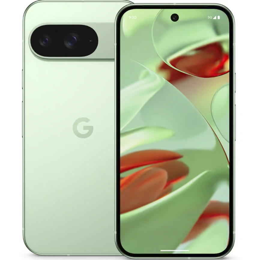 Смартфон Google Pixel 9 | 12/256 ГБ | Wintergreen (Светло-зеленый) (Global Version)