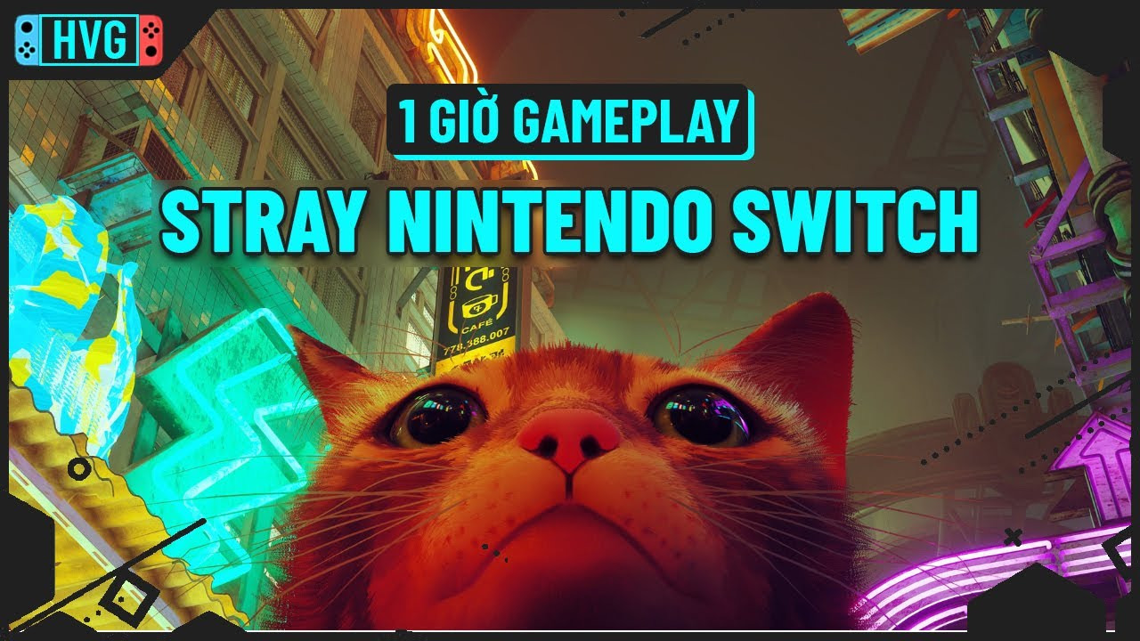 Игра Stray (NS)
