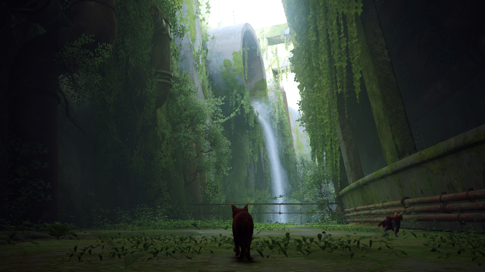 Игра Stray (NS)