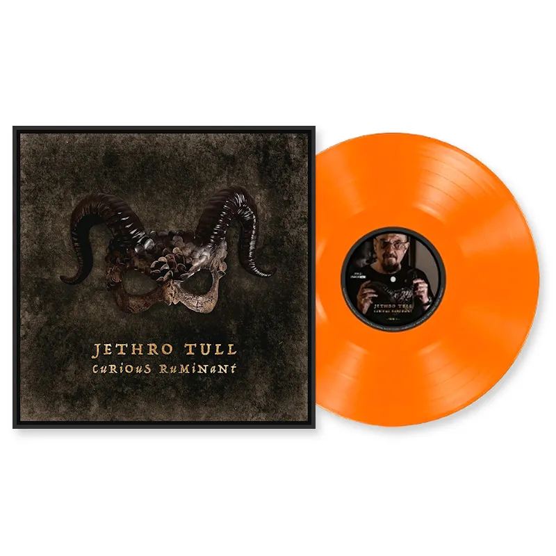 Виниловая пластинка JETHRO TULL - Curious Ruminant (Sony)