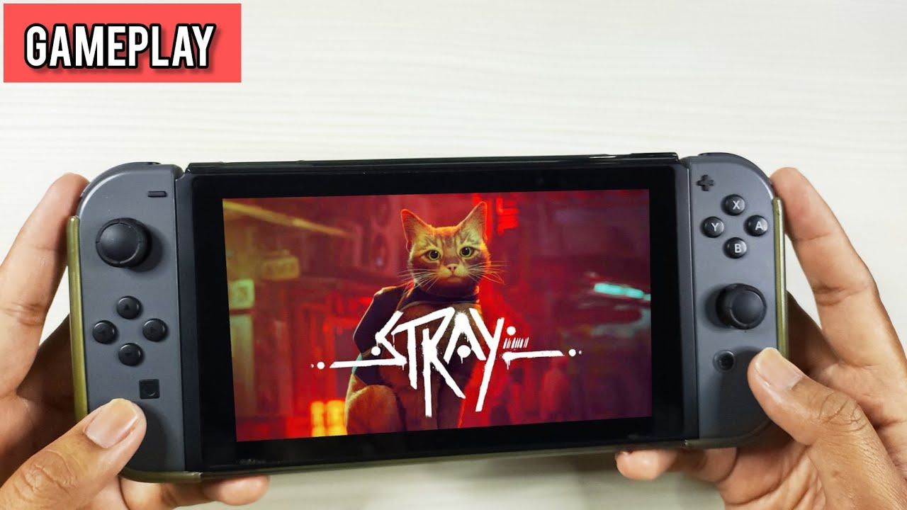 Игра Stray (NS)