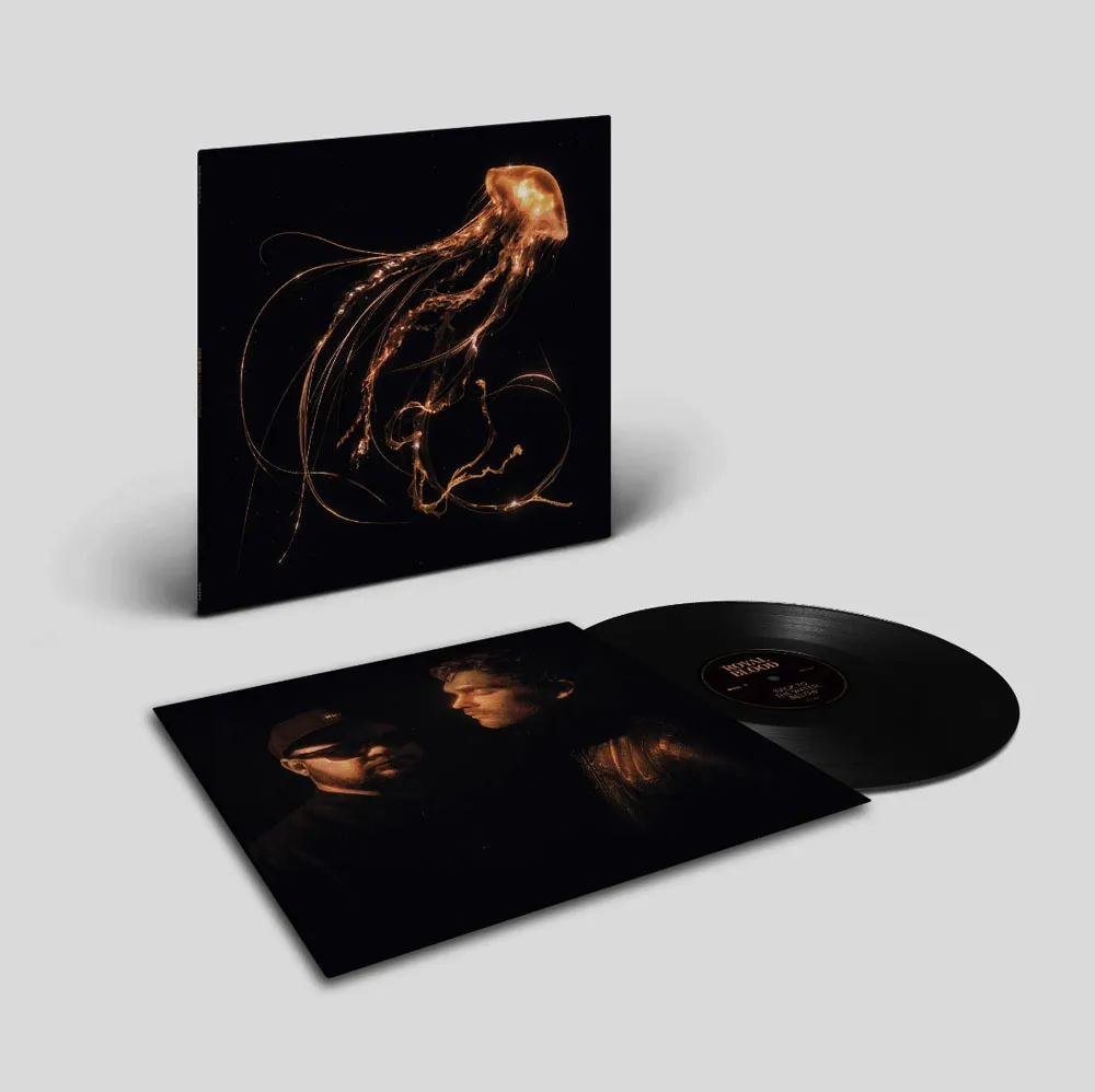 Виниловая пластинка ROYAL BLOOD - Back To The Water Below