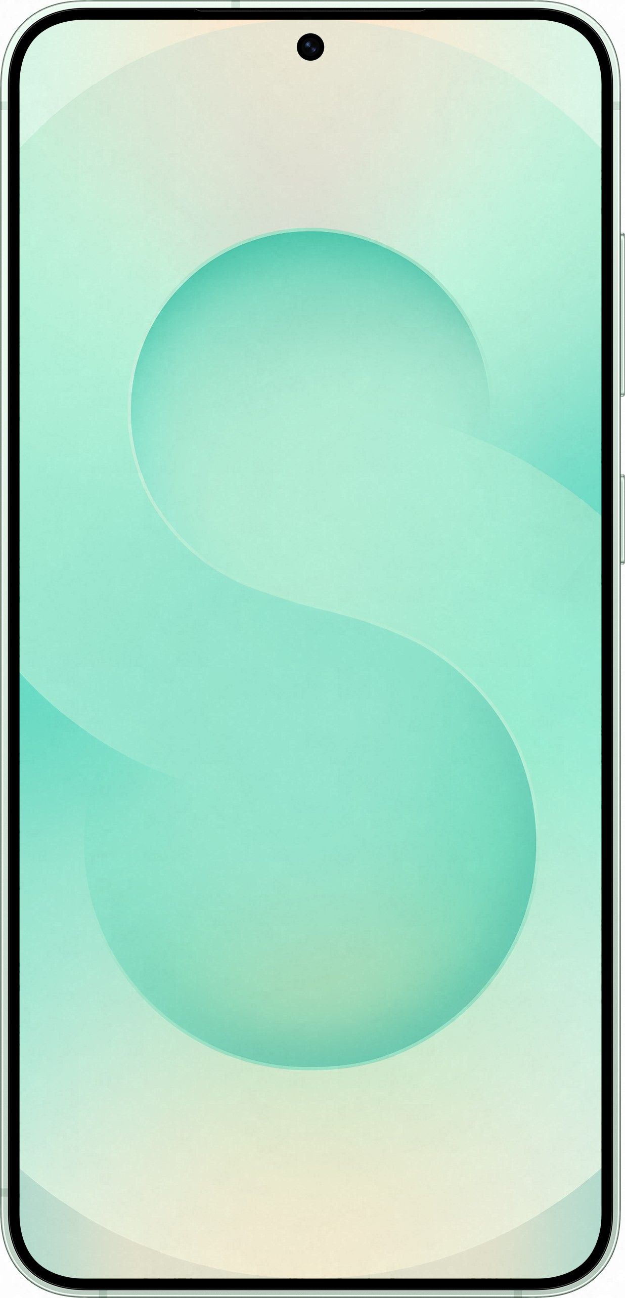 Смартфон Samsung Galaxy S25 Plus | 12/256 ГБ Мятный