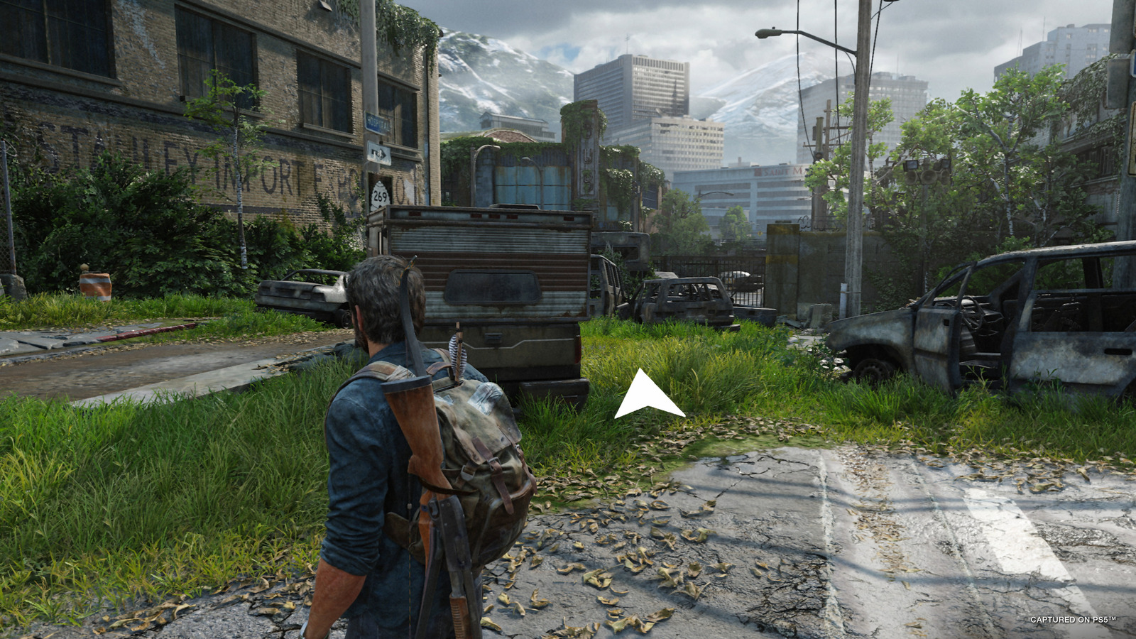 Игра The Last of Us Part I, русский язык (PS5)