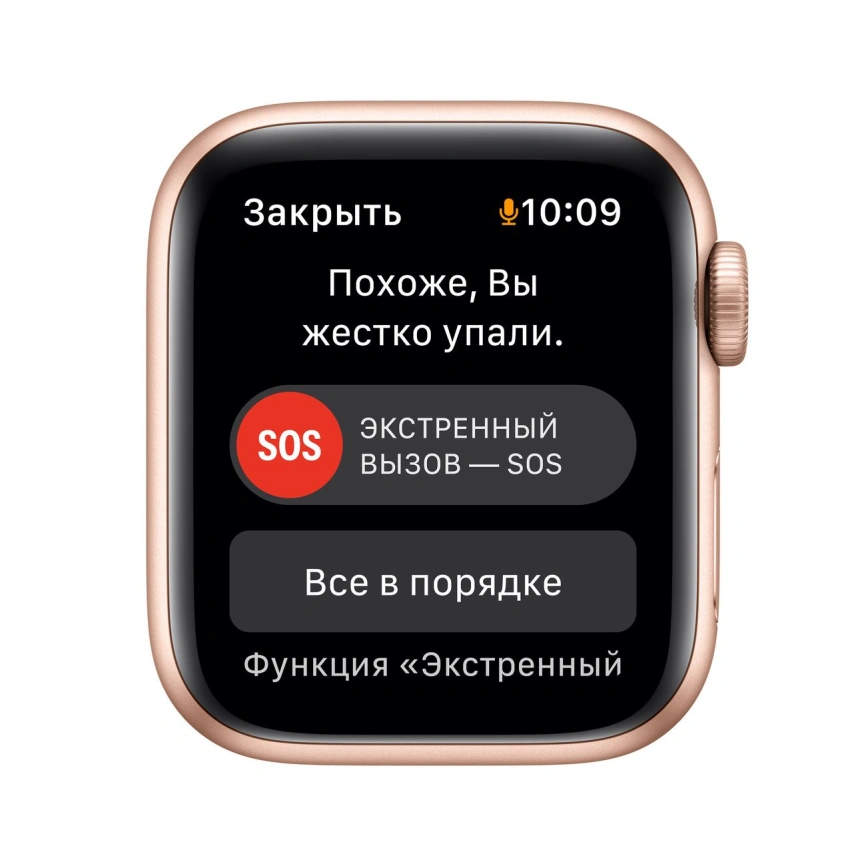 Смарт-часы Apple Watch Series SE GPS 40mm Gold/Starlight Sport Band (MKQ03)
