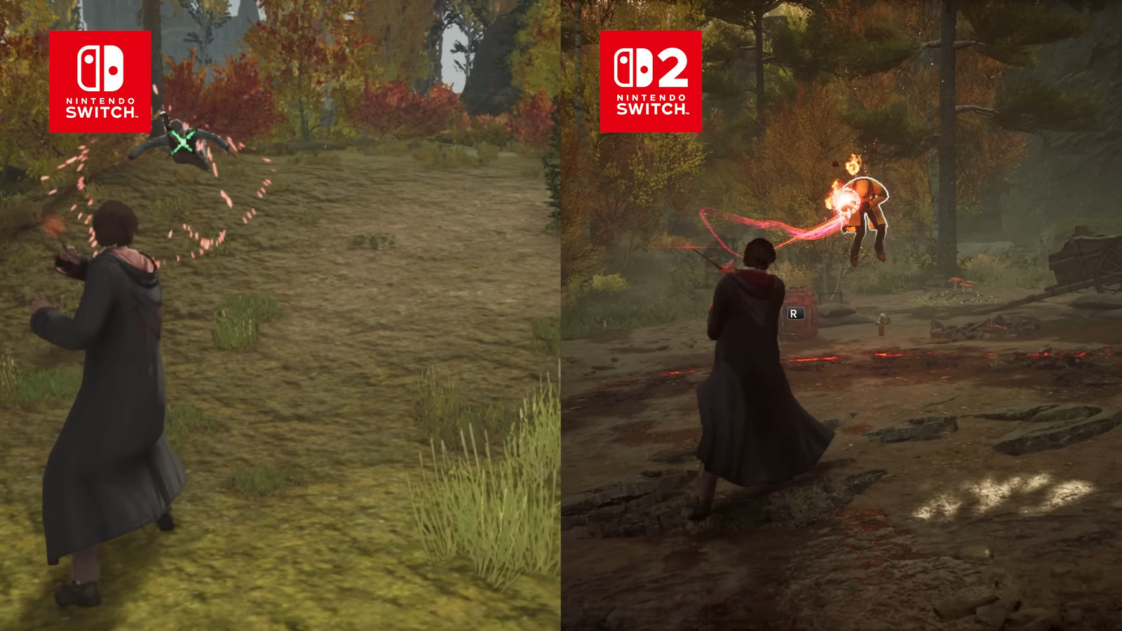 Игра Hogwarts Legacy (NS)