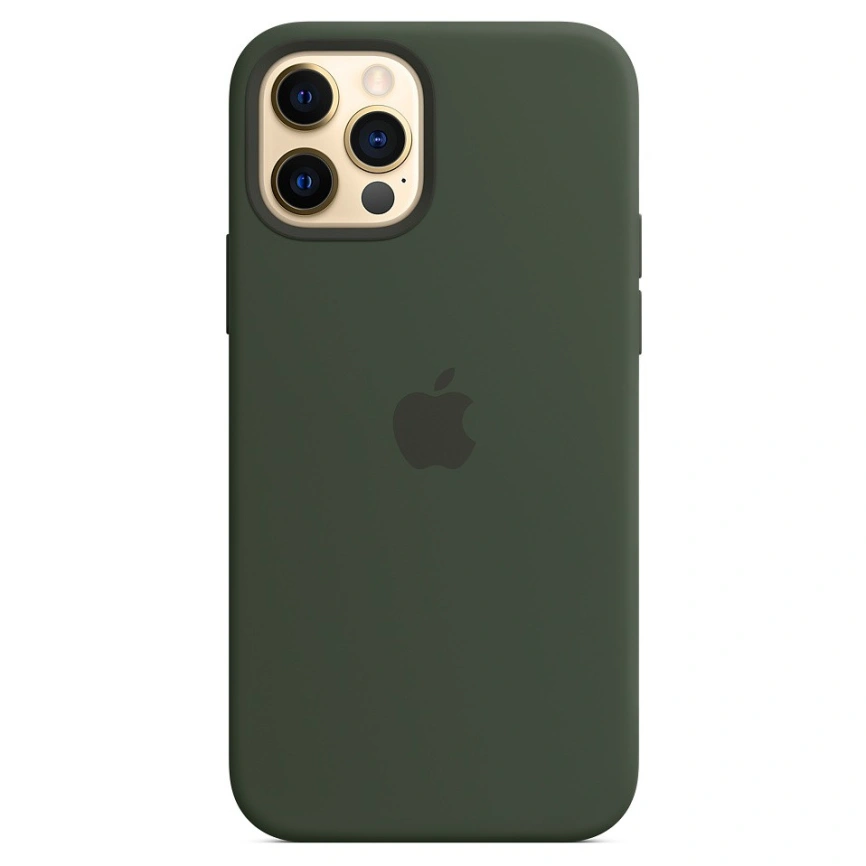 Силиконовый чехол Apple MagSafe для iPhone 12 и iPhone 12 Pro кипрский зелёный