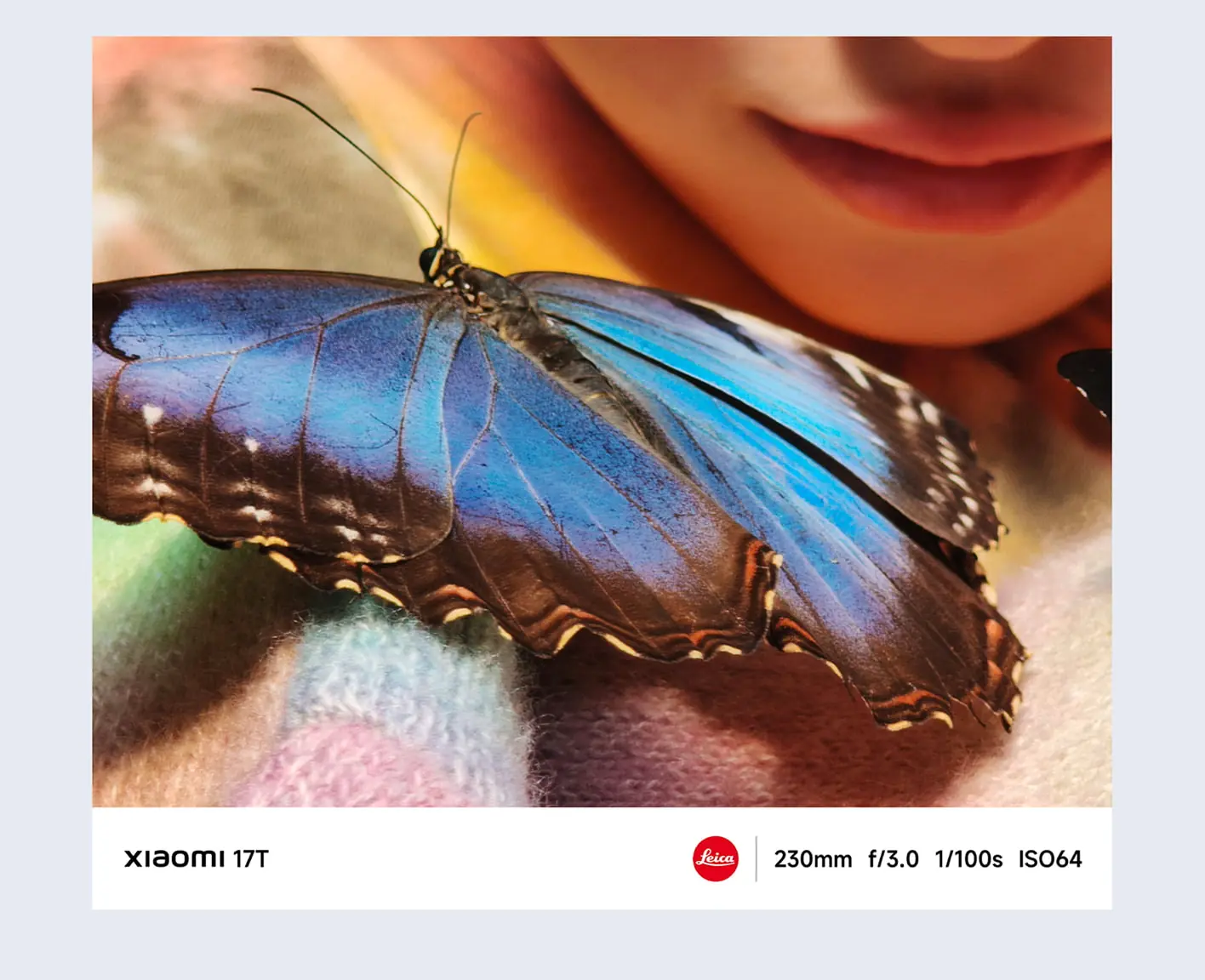 17T foto.webp