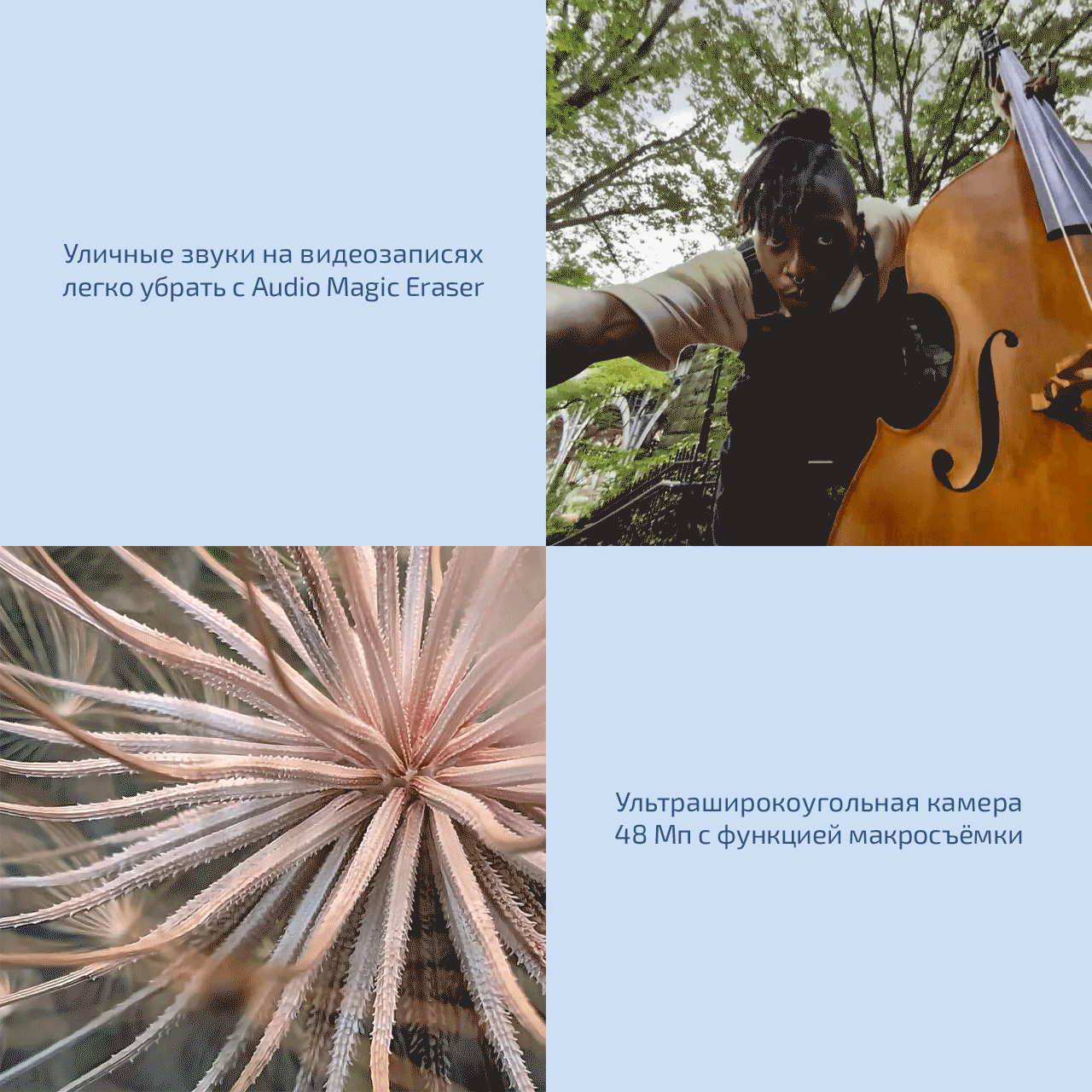 Google Pixel 9 Pro Magic Eraser Google Pixel 9 Pro Magic Eraser